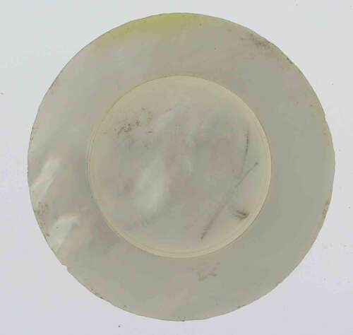 Rare Exquisite Mother of Pearl Pocket Watch Swiss 1900