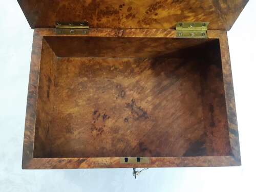 Antique Birch Display Case Box For Pocket Watches